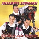 Ansambel Zdomarji - Na Rajs