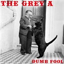The Grey A - Dumb Fool