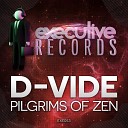 D Vide - Pilgrims Of Zen Original Mix
