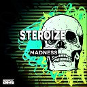 Steroize - Madness Original Mix