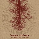 Brave Timbers - All the Things You Couldn t Say