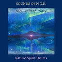 Nature Spirit Drums - Phases of La Luna