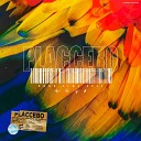 Placcebo Beats - Take Away
