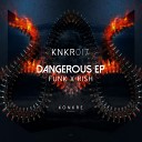 Funk X Rish - Dangerous Original Mix