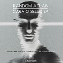 Random Atlas - Hedgehog Original Mix