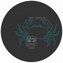 Ray Topolov - DT9 Original Mix