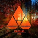Tom Collins - Dusk Extended Mix