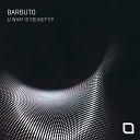Barbuto - Sink The Ship Original Mix
