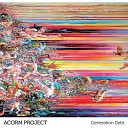 Acorn Project - Noise