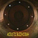 Acoustic Buzzhookah - Bring On the Rain