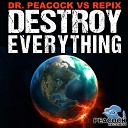 Dr Peacock Repix - Junky Imbecile Original Mix