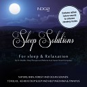 Roberto Aval - Ocean Waves 4 With 40 White Noise Deep Sleep Therapy Insomnia Low Tinnitus Relief Original…