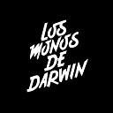 Monos de Darwin - La Herida