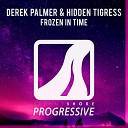 Derek Palmer Hidden Tigress - Frozen In Time Radio Edit