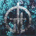 In Light of Us - Vultures