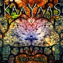 Kaayaas, Liink feat. Crystal Mantis - Energetic Meeting
