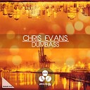 Chris Evans - Dumbass Roman Tkach Remix