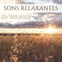 Sons da Natureza Relax Natureza - O Mar Cantigas de Ninar