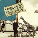 Feldmann - Nobody Knows The Truth