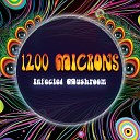 1200 Microns - Magic Mushroom Trip