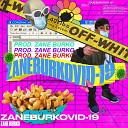 Zane Burko - Whole Lotta Virus