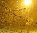NASCER DE NOVO - Snow rain Track 02