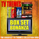 TV Themes - The Night Of Theme