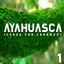 Ayahuasca Icaros - Opening Inside Me