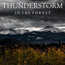 Thunderstorm Global Project from TraxLab - Rainstorm in the Woods Part 38