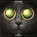 Pronobis - Welcome Back Original Mix