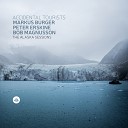 Accidental Tourists feat Markus Burger Peter Erskine Bob… - Perpetuum Mobile