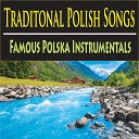 The Suntrees Sky - Classic Poland Folk Song Hey Sokoly