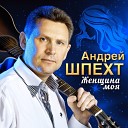 Андрей Шпехт - Снова январь