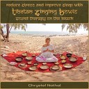 Chrystal Nathal feat Dr Eric Fassbender - Reduce Stress and Improve Sleep with Tibetan Singing Bowls Sound Therapy on the Beach feat Dr Eric…