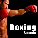 Sound Ideas - Boxing Match Ambience with Spectators