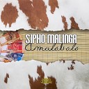 Sipho Malinga - Amalobolo