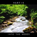 Hartik - Into the woods