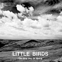 Little Birds - March Haigh
