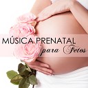 Musica Prenatal Maestro - Mi Amor