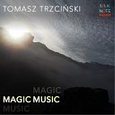 Tomasz Trzcinski - Music Turbulences
