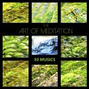 Relaxing Mindfulness Meditation Relaxation… - Rainy Afternoon Gentle Falling Rain Sounds in the…