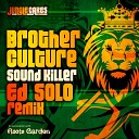 Brother Culture - Sound Killer Ed Solo Remix Instrumental