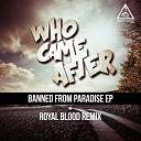Who Came After - Majestic Original Mix