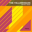 The YellowHeads - Vertize Original Mix