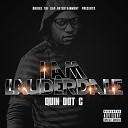 Quin Dot C feat Alia - Intro Can You Tell Us About Yourself
