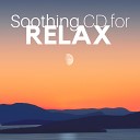 Unlimited Nature Sounds - Soothing Atmosphere