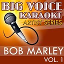 Big Voice Karaoke - Easy Skanking In the Style of Bob Marley Karaoke…