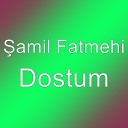 amil Fatmehi - Dostum