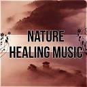 Reiki Healing Unit - Lotus Flower Spa Music