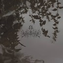 A Sable Opiate - Beasts Of The Black Apex